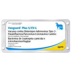 Vacuna canina VANGUARD PLUS 5 CV/L (Óctuple)