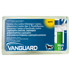 Vacuna canina VANGUARD PLUS 5/L4 (Sextuple)